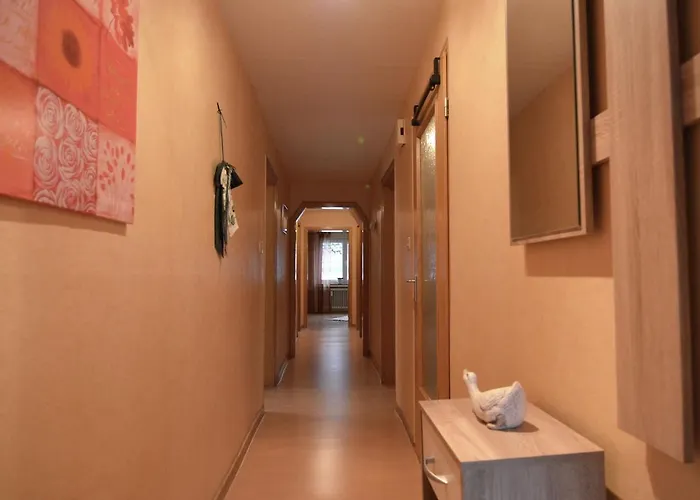 Apartman Bright In The Sauerland With Conservatory Large Terrace And Awning